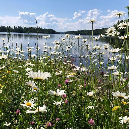 Vehkaniemen Lomatila Pohjaslahti المظهر الخارجي الصورة