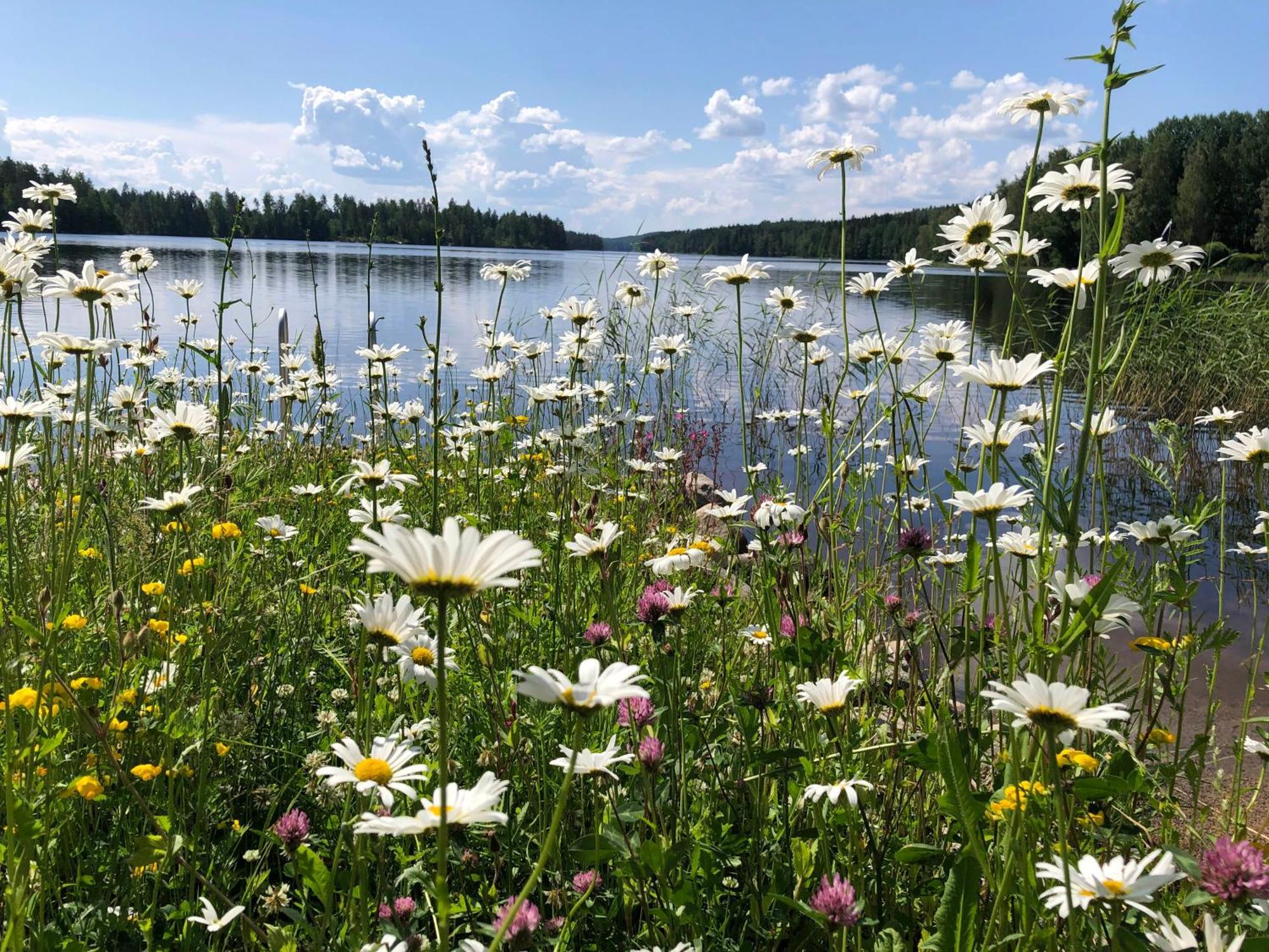 Vehkaniemen Lomatila Pohjaslahti المظهر الخارجي الصورة